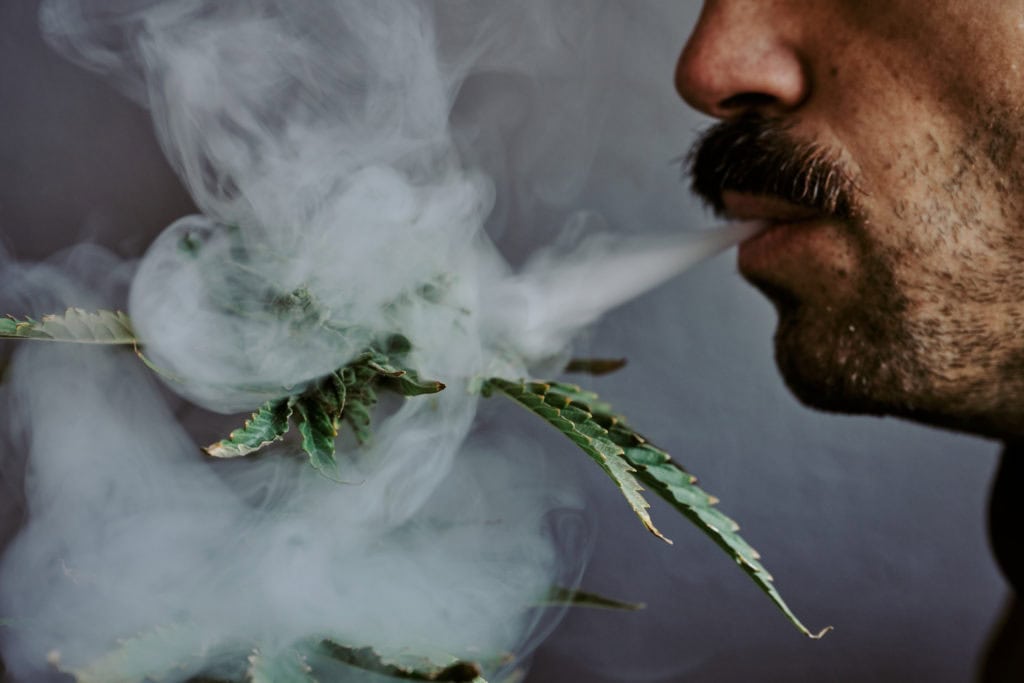 Detail shot of a young man smelling, smoking and biting a marijuana plant with gray background.